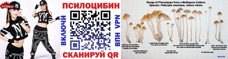 Псилоцибиновые грибы Psilocybe  Духовщина 